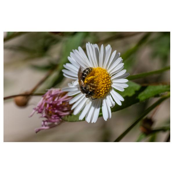 PHOTO84, CLUB, 84 , LUBERON